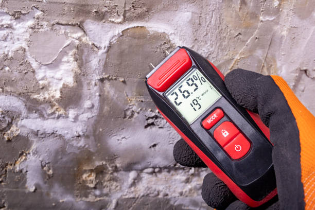 Professional Mold Removal in Tallahassee, FL