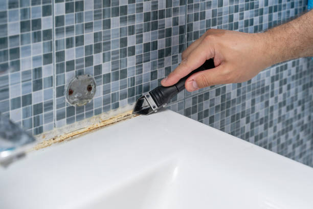 Best Professional Mold Removal  in Tallahassee, FL